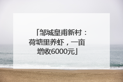 邹城皇甫新村：荷塘里养虾，一亩增收6000元
