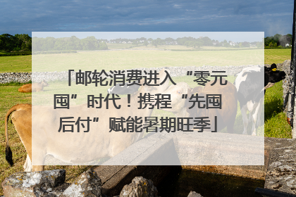 邮轮消费进入“零元囤”时代！携程“先囤后付”赋能暑期旺季