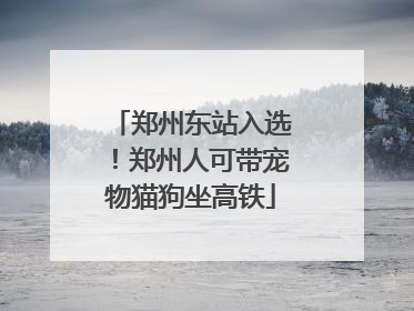 郑州东站入选！郑州人可带宠物猫狗坐高铁