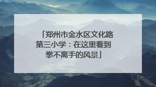 郑州市金水区文化路第三小学：在这里看到拳不离手的风景