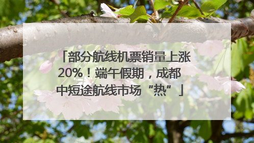 部分航线机票销量上涨20%！端午假期，成都中短途航线市场“热”