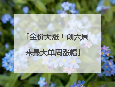 金价大涨！创六周来最大单周涨幅
