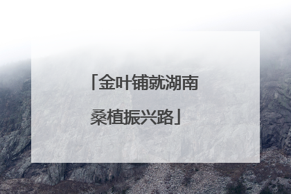 金叶铺就湖南桑植振兴路