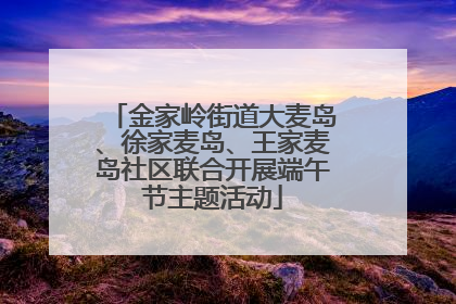 金家岭街道大麦岛、徐家麦岛、王家麦岛社区联合开展端午节主题活动