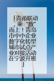 青甬联动，乘“数”而上！青岛市中小企业数字化转型城市试点产业对接活动在宁波开班
