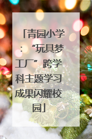 青园小学：“玩具梦工厂”跨学科主题学习成果闪耀校园
