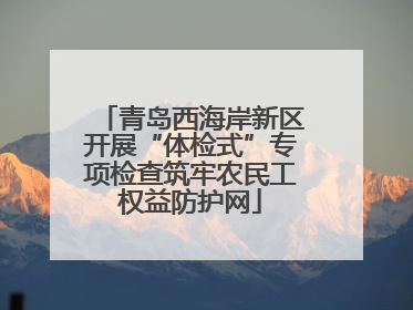 青岛西海岸新区开展“体检式”专项检查筑牢农民工权益防护网