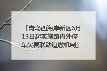 青岛西海岸新区6月13日起实施路内外停车欠费联动追缴机制