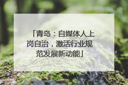 青岛：自媒体人上岗自治，激活行业规范发展新动能