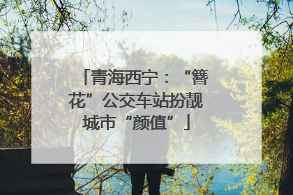 青海西宁：“簪花”公交车站扮靓城市“颜值”