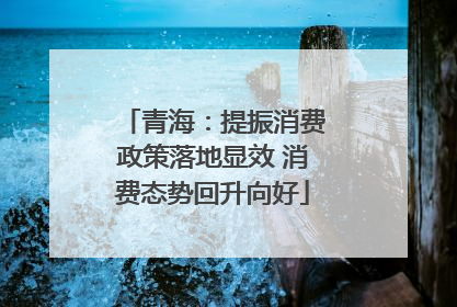 青海：提振消费政策落地显效 消费态势回升向好