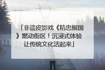 非遗皮影戏《精忠报国》燃动街区！沉浸式体验让传统文化活起来