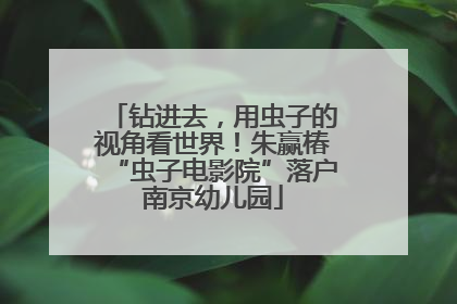 钻进去，用虫子的视角看世界！朱赢椿“虫子电影院”落户南京幼儿园