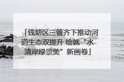 钱塘区三管齐下推动河道生态双提升 绘就“水清岸绿景美”新画卷