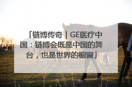 链博传奇｜GE医疗中国：链博会既是中国的舞台，也是世界的橱窗