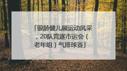 银龄健儿展运动风采，20队竞逐市运会（老年组）气排球赛