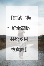 铺就“梅”好幸福路 共绘乡村致富图
