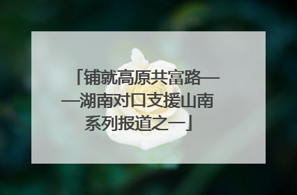 铺就高原共富路——湖南对口支援山南系列报道之一