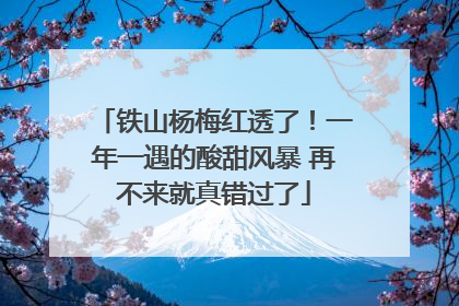 铁山杨梅红透了！一年一遇的酸甜风暴 再不来就真错过了
