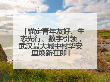 锚定青年友好、生态先行、数字引领，武汉最大城中村华安里焕新在即