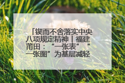 锲而不舍落实中央八项规定精神丨福建莆田：“一张表”“一张图”为基层减轻“数字负担”