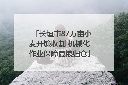 长垣市87万亩小麦开镰收割 机械化作业保障夏粮归仓