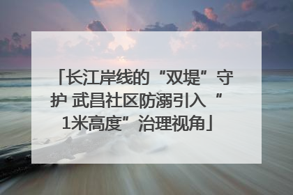 长江岸线的“双堤”守护 武昌社区防溺引入“1米高度”治理视角
