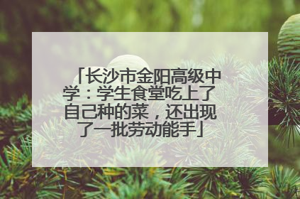 长沙市金阳高级中学：学生食堂吃上了自己种的菜，还出现了一批劳动能手