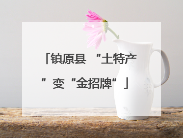 镇原县 “土特产”变“金招牌”