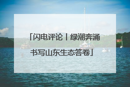 闪电评论丨绿潮奔涌 书写山东生态答卷