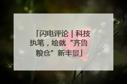 闪电评论｜科技执笔，绘就“齐鲁粮仓”新丰景