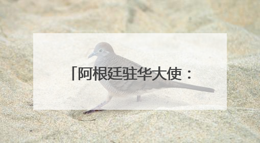 阿根廷驻华大使：发展中国家以中国模式为范本应对挑战