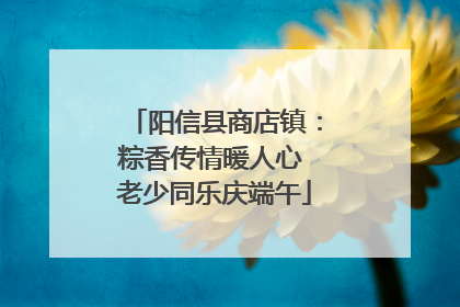 阳信县商店镇：粽香传情暖人心 老少同乐庆端午