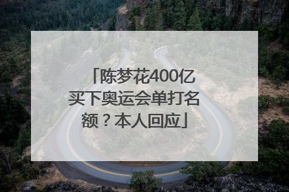 陈梦花400亿买下奥运会单打名额？本人回应