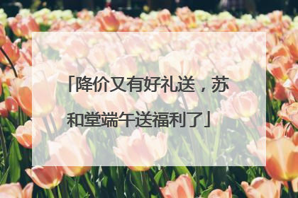 降价又有好礼送，苏和堂端午送福利了