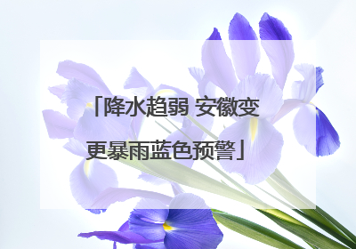 降水趋弱 安徽变更暴雨蓝色预警