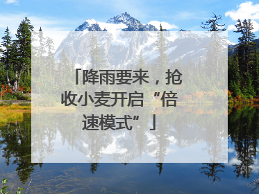降雨要来，抢收小麦开启“倍速模式”