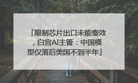 限制芯片出口未能奏效，白宫AI主管：中国模型仅落后美国不到半年