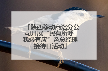 陕西移动商洛分公司开展“民有所呼 我必有应”暨总经理接待日活动