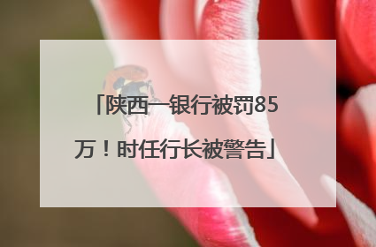 陕西一银行被罚85万！时任行长被警告