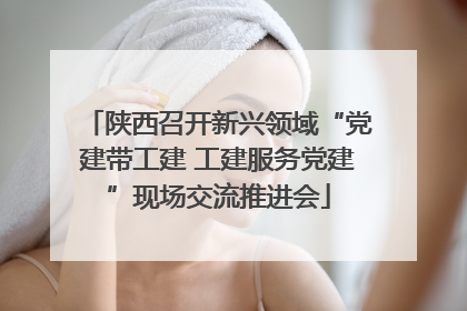 陕西召开新兴领域“党建带工建 工建服务党建”现场交流推进会