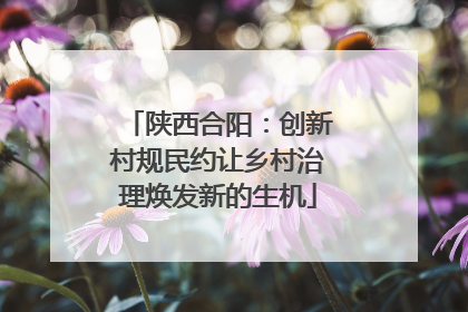 陕西合阳：创新村规民约让乡村治理焕发新的生机