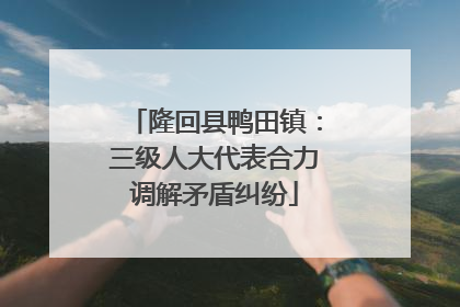 隆回县鸭田镇：三级人大代表合力调解矛盾纠纷