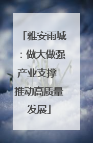 雅安雨城：做大做强产业支撑 推动高质量发展