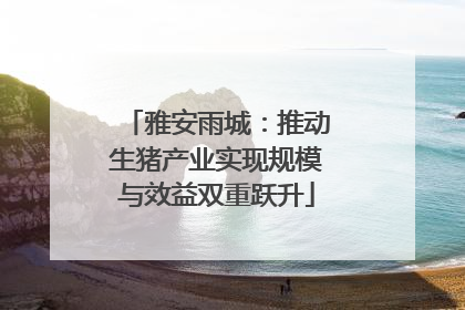 雅安雨城：推动生猪产业实现规模与效益双重跃升