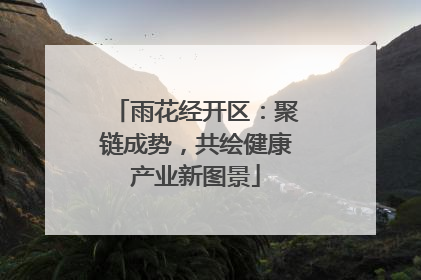 雨花经开区：聚链成势，共绘健康产业新图景