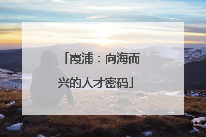 霞浦：向海而兴的人才密码