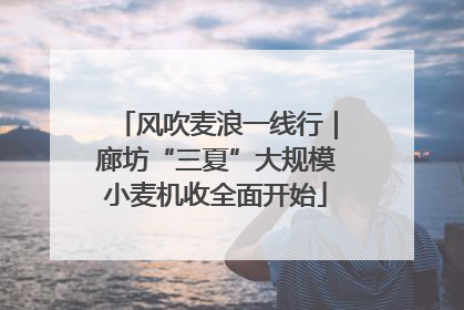 风吹麦浪一线行｜廊坊“三夏”大规模小麦机收全面开始