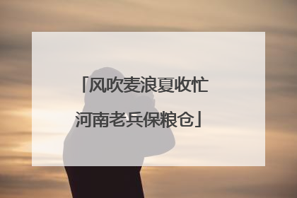 风吹麦浪夏收忙 河南老兵保粮仓