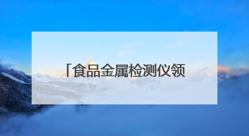 食品金属检测仪领域8家潜力企业：技术特色与发展前景